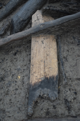 A charred timber pulled from the site, showing the incredible preservation after 3,000 years.